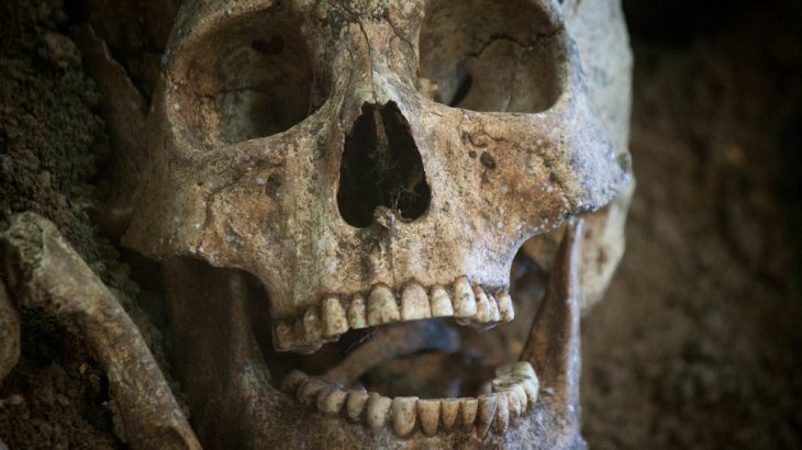 Four ancient teeth found in a cave in Yanhui, China, point to an intriguing mystery about human evolution.