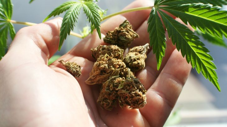 A growing number of women are using marijuana as a treatment for morning sickness during pregnancy, but experts warn it isn't safe.