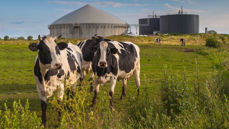 The bacteria could help reduce atmospheric methane emissions by trapping methane in the soil before it makes its way to the atmosphere.