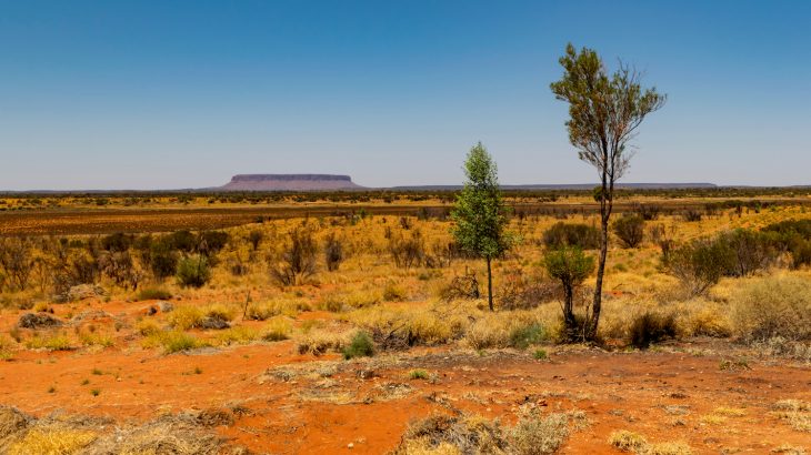 The latest report from the Copernicus Climate Change Service shows that surface air temperatures in March were some of the warmest on record for the month.