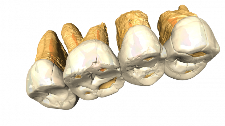 An international team of researchers has discovered the 50,000 year-old remains of a previously unknown species of human in the Philippines.