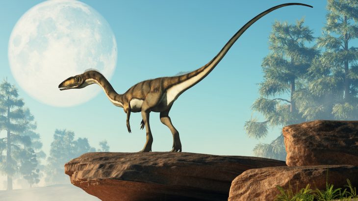 Paleontologists have found an extremely rare set of dinosaur footprints from tens of millions of years ago that still contain well-preserved skin.