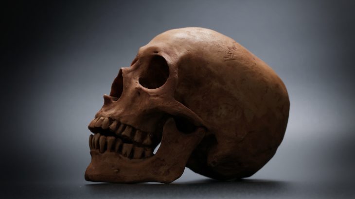 According to researchers at the University of York, social communication played an influential role in how the human face shape evolved.