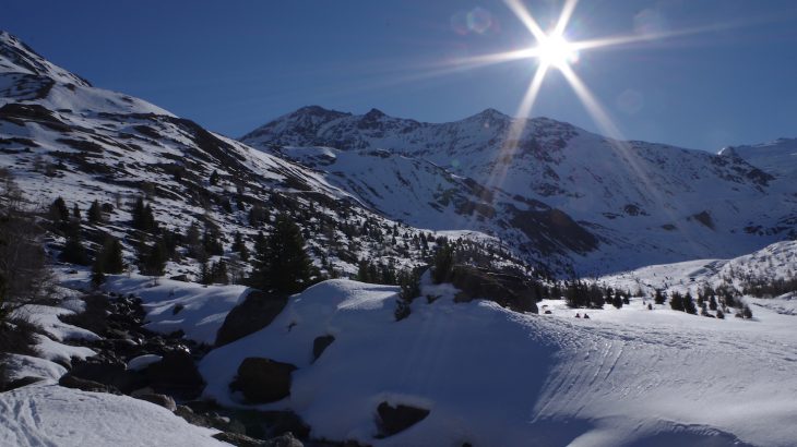 Researchers from the University of Milan identified microplastics in sediment samples taken from the Forni Glacier which has an elevation of around 12,000 feet.