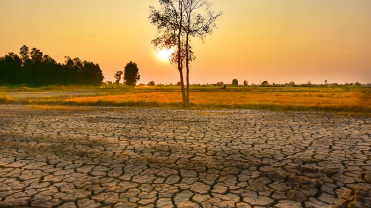 NASA researchers analyzed the Earth’s “skin” temperatures from 2003 to 2017, measured by the satellite-based infrared system called AIRS (Atmospheric Infra-Red Sounder).