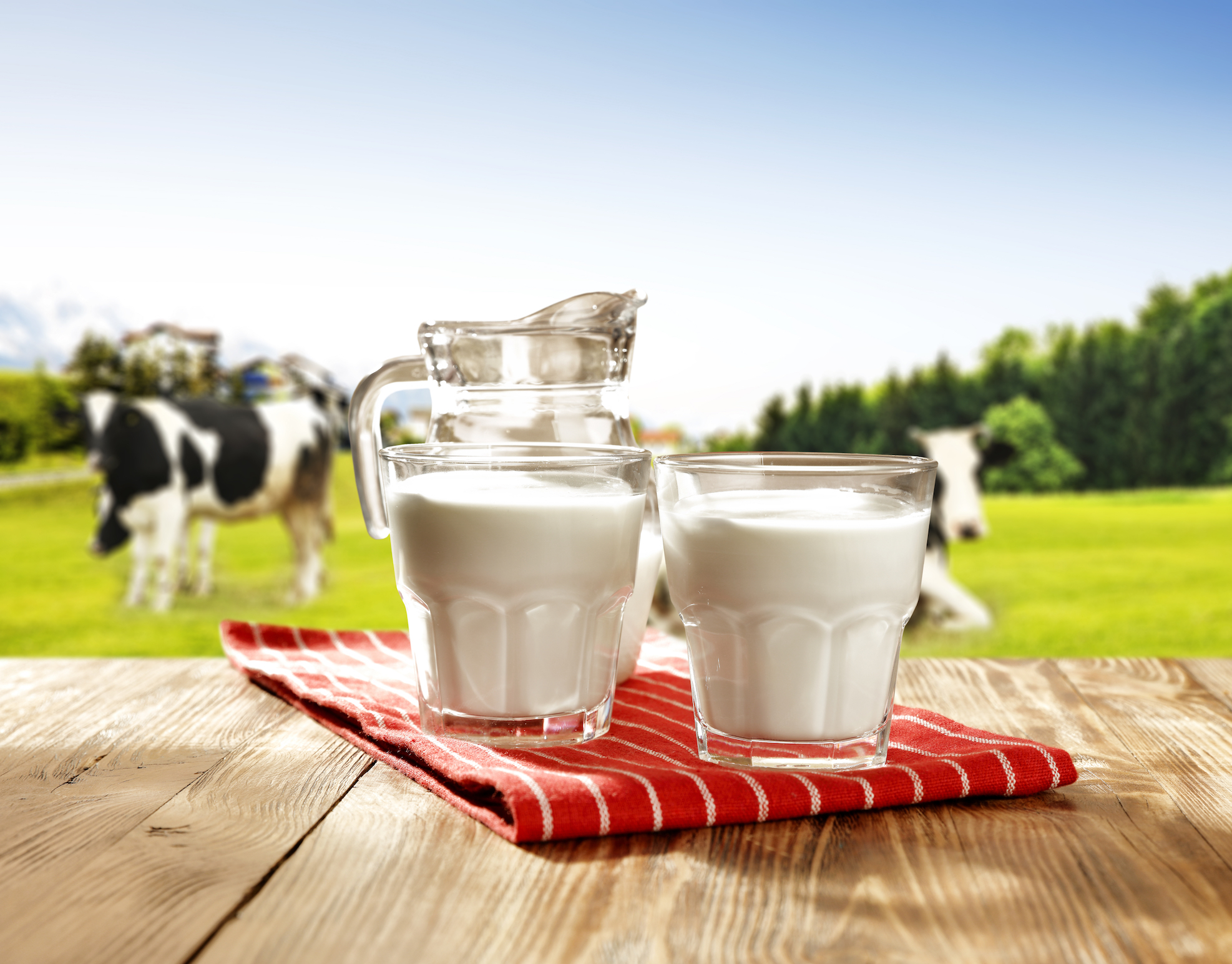 What exactly is in cow’s milk? - Earth.com