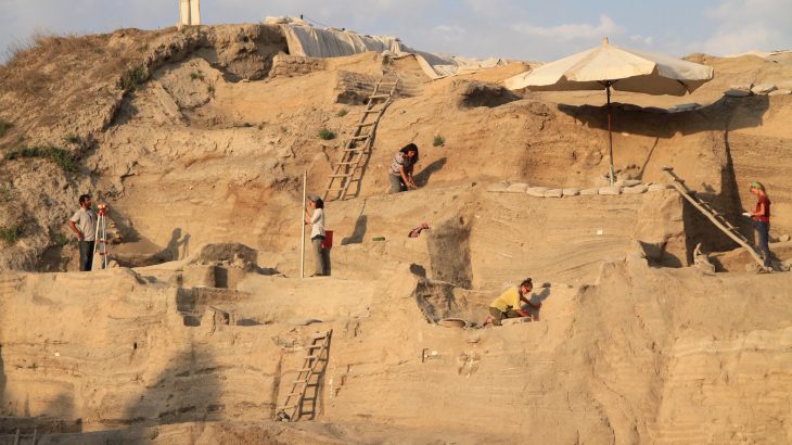 Researchers have turned to ancient urine to work out the details of the transition from hunting to herding during the Neolithic Revolution.