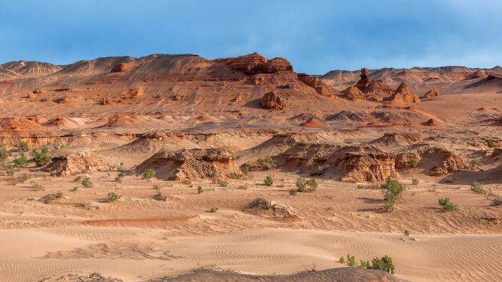 In the southern Gobi Desert in Mongolia, paleontologists recently unearthed a perfectly preserved complete dinosaur skeleton belonging to a new species closely related to hadrosaurs.