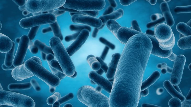 Researchers have found the underlying mechanisms that make it possible for bacteria to take in nitrous-oxide (N2O), or laughing gas as it is commonly referred to.