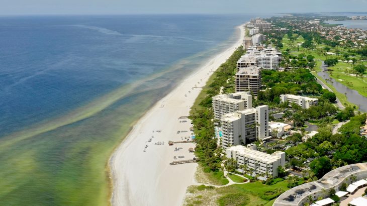 Marine scientists from the University of Southern Florida have determined that ocean circulation caused the severe red tide of 2018.
