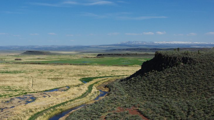In a case of disregard for environmental regulations as well as theft and arson on public lands, one must wonder why the current administration believed these men deserved a different standard of justice.