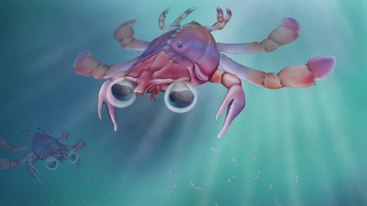 An arthropod specimen dating back to the mid-Cretaceous Period is being hailed the “platypus of the crab world” for its unusually small size.