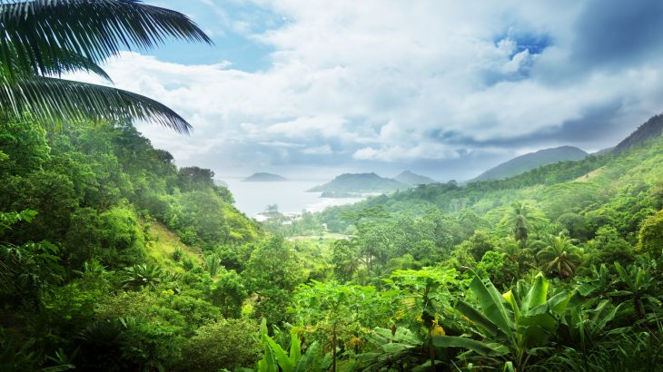 One team of researchers believes that their method has the potential to reduce annual CO2 emissions by 20 to 46 percent.