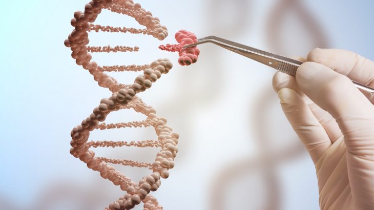 Now that Pandora’s box has been opened, how can the scientific community proceed with CRISPR research in a safe, ethical, and methodical way?