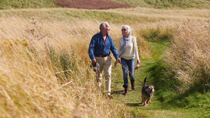 Researchers are reporting that just an hour of swift walking is enough to prevent disability in older adults with arthritis pain.