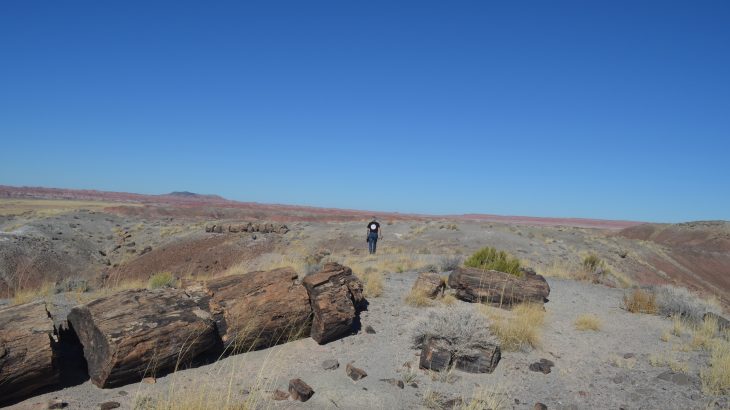 Researchers have found that the warming trends and changes in precipitation due to human-driven global warming can be seen as far back as the very early 1900s.