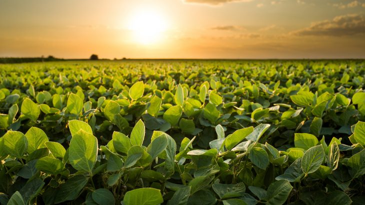 Extremes like hot and cold temperature shifts, and drought to heavy rainfall shifts, accounted for 18% to 43% of prior crop yield variations.