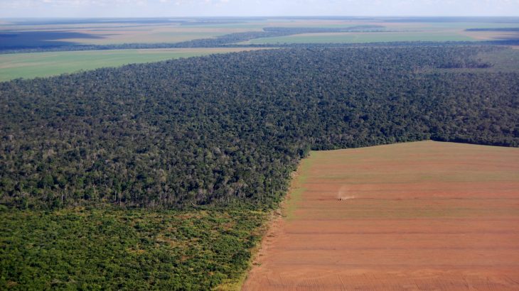 Influence from the west is driving China’s demand for soy and soy products, which in turn drives the destruction of Brazil’s Amazon.
