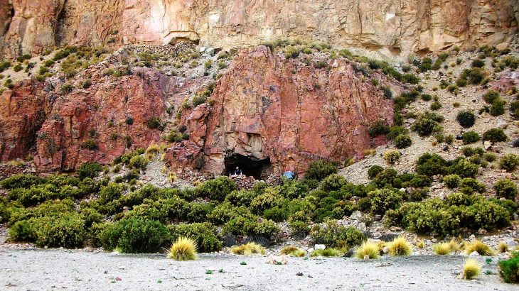 Recent excavations have revealed that Native Americans used multiple plants, perhaps in different combinations, to induce hallucinations as early as 1,000 years ago.