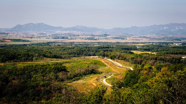 Before the Korean War, much of the DMZ was agricultural land but now has been left untouched for 65 years, during which time wild ecosystems have rebounded.