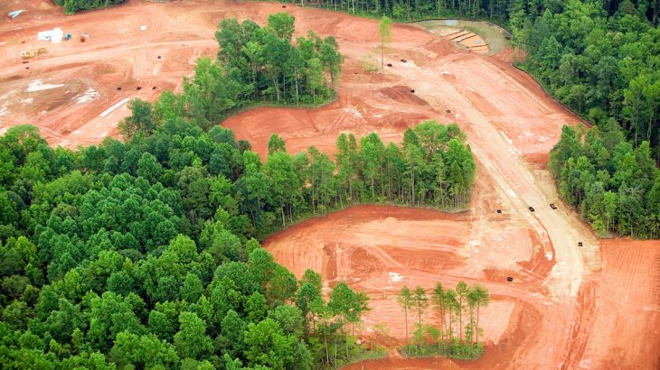 When native plants are cleared from land for development, they mostly die and are replaced with asphalt, concrete, buildings and grass.