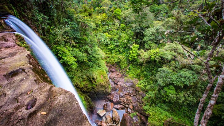 New research from University College London (UCL) has revealed that abrupt climate change drastically reduced early South American populations.