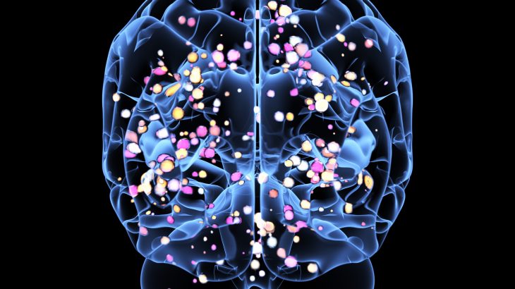 A team of neurobiologists at the University of California San Diego has identified the region of the brain that is responsible for making decisions based on value.
