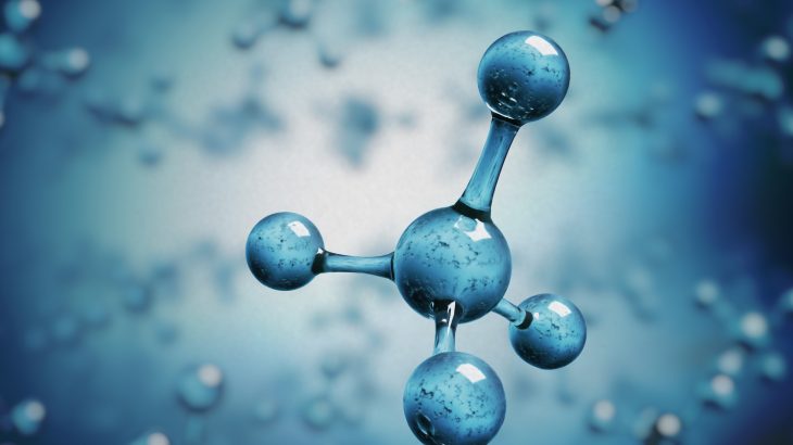 Methanotrophic bacteria are known for their incredible ability to remove methane from the environment and convert it into fuel.