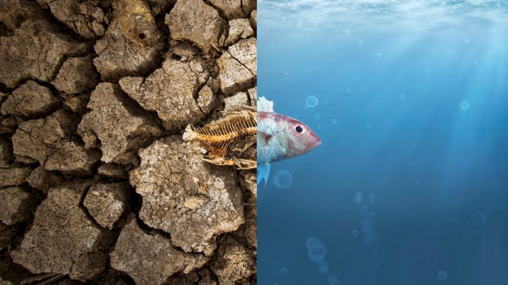 A new study has found that how a question is phrased can make a big difference in how a person expresses their thoughts about anthropogenic climate change.