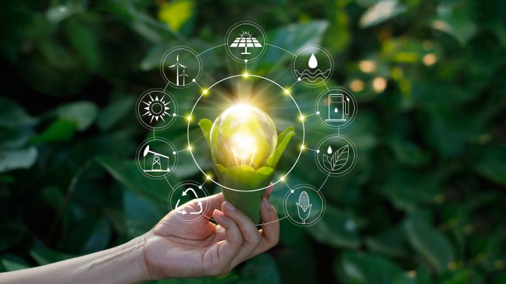 Policies aimed to “nudge” people toward a greener lifestyle are well-intentioned but can decrease support for larger policies with greater green impact.