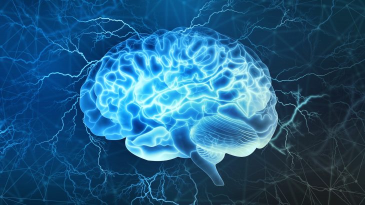 A new study has produced evidence that the brain plays a major role in maintaining a healthy weight, regardless of diet and exercise.