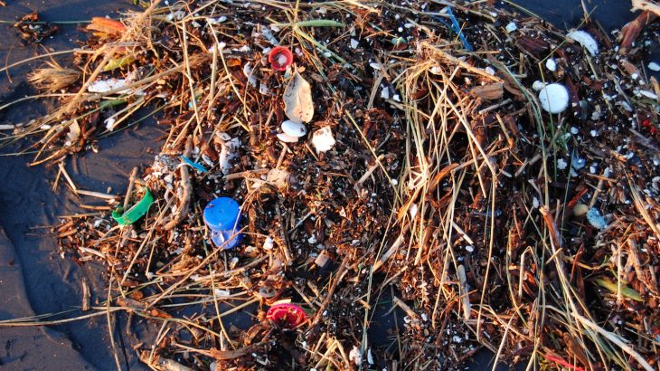 According to a new study, the marine bacteria that are responsible for as much as ten percent of all the oxygen on our planet are vulnerable to plastic pollution.