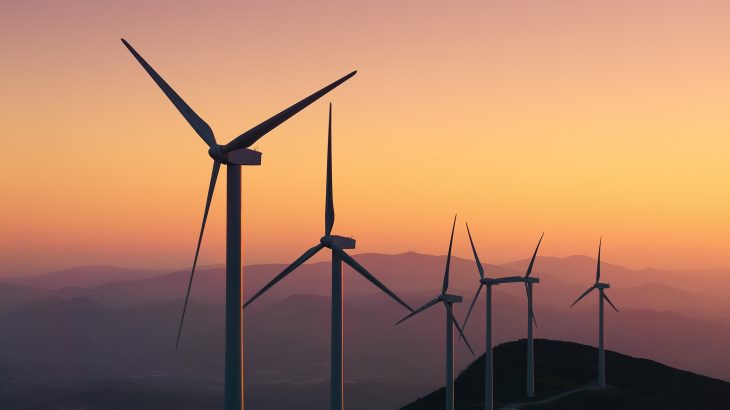 Wind turbines kill tens to hundreds of thousands of bats each year, according to the US Geological Survey, and there are more than 52,000 wind turbines in operation in the US today.
