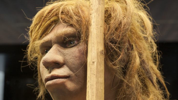 According to researchers from University College London, Neanderthals and modern humans diverged at least 800,000 years ago.