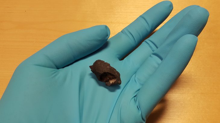 Chewed up lumps of birch bark pitch from 10,000 years ago contain DNA from the first humans who settled in Scandinavia.