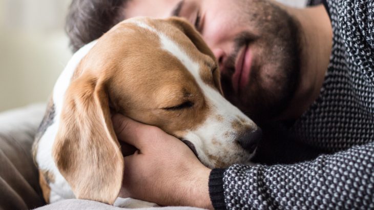 According to a new study from researchers based at Sweden's Uppsala University, choosing to own a dog is heavily influenced by one’s genetic makeup.