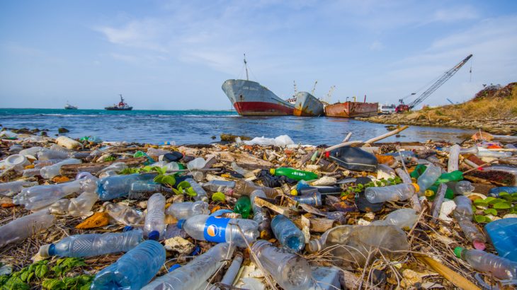 Environmental pollutants wash ashore near the Panama Canal. A new study has linked pollution to impaired fertility. (Fotos593 / Shutterstock.com)