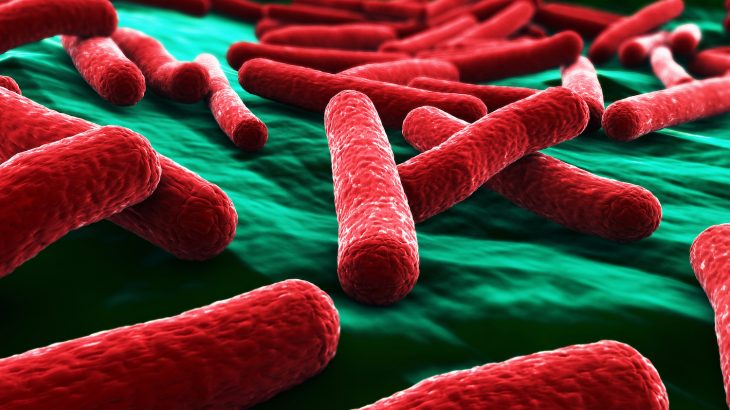 New research shows that when confronted with obstacles, bacteria change up their swim and tumble tactics to quickly reach their goals.