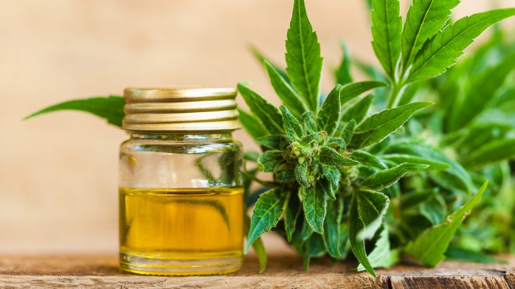 A new study from the Icahn School of Medicine at Mount Sinai indicates that cannabidiol (CBD) can make it easier for people to overcome addiction.