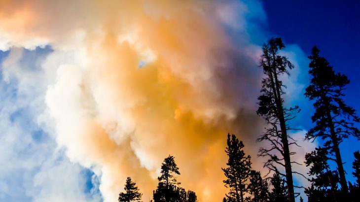 Researchers have assessed the landscape in Yellowstone National Park, where areas that burned in 1988 were affected by fire again in August of 2016.