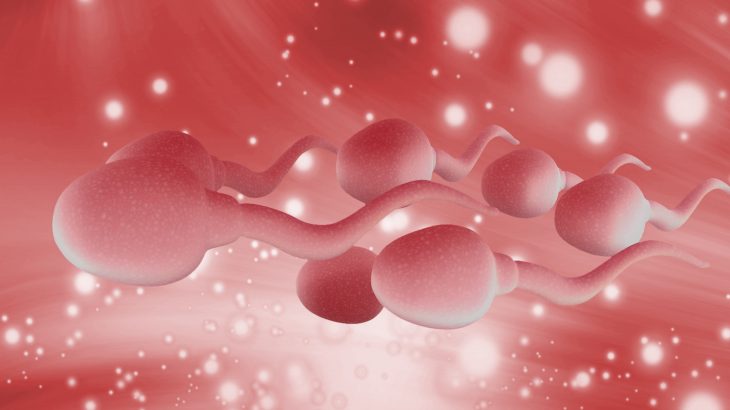 Only 38 percent of the men had semen parameter values above the standards that have been established for fertile men by the World Health Organization.
