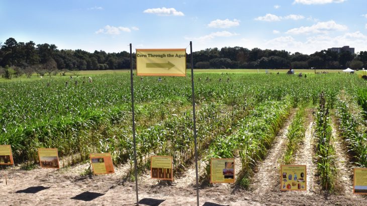Plant blindness is a term that refers to how people often don't recognize the crucial value that plants have to the environment, economy, and culture.