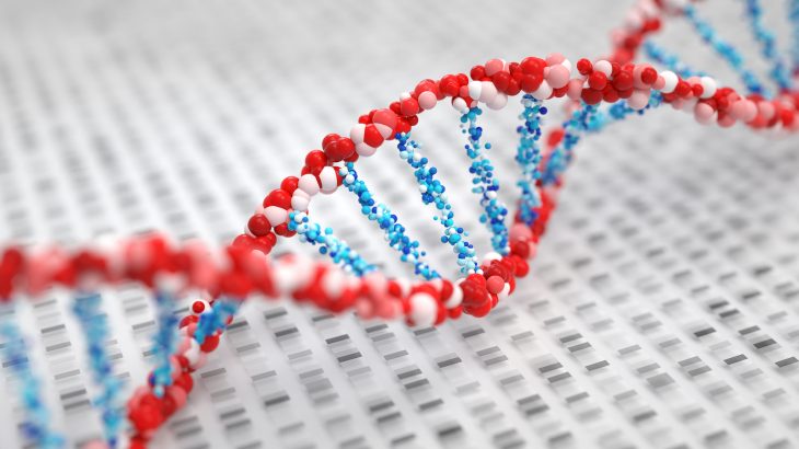 Researchers in Toronto have identified genes that are unique to humans and may help to explain our very existence.