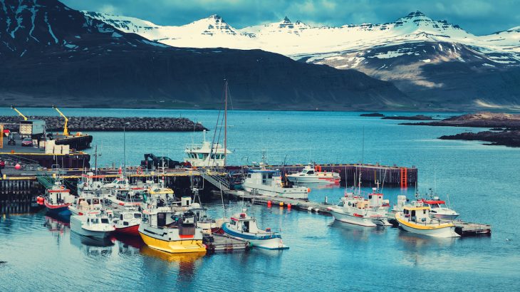 The global fishing fleet grew from 1.7 million vessels in 1950 to 3.7 million in 2015, but the total catch dropped by more than 80 percent in the same time frame.