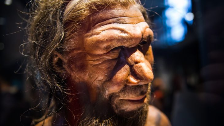 The last Neanderthals died off around 40,000 years ago after migrating from Africa to Europe, and there have been many theories as to what led to their demise.
