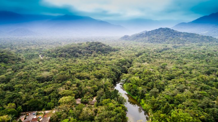 While many early European explorers assumed it to be an inhospitable jungle, the Amazon rainforest once supported humans in higher densities than most would find credible.