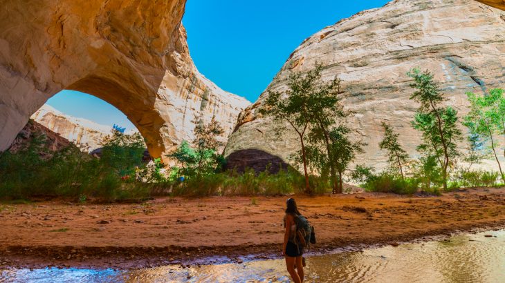 The United States and Brazil are leading an alarming global trend of stripping away and rolling back environmental policies in protected areas to bolster mining and industry.