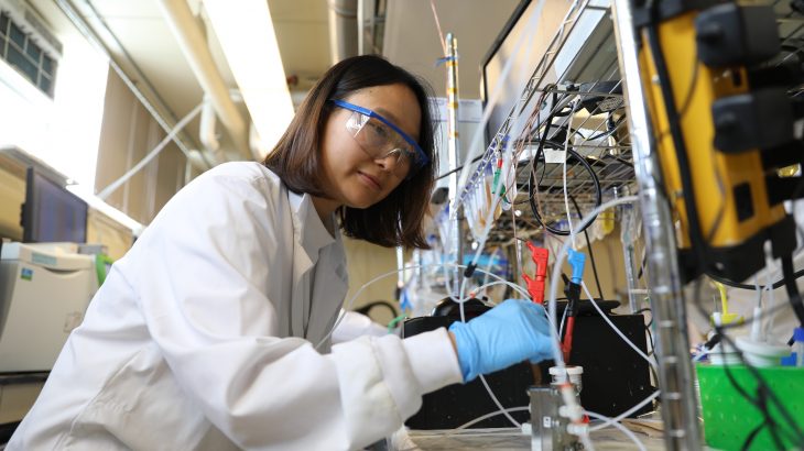 Researchers from the University of Toronto have developed a new way to transform CO2 into fuels and plastics.