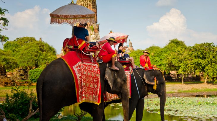 Two recent cases of elephant injuries at wildlife attractions provide a small glimpse into an industry rife with concerns over animal welfare.