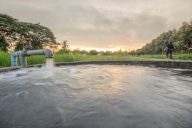 In an unprecedented study, a team of experts at The Ohio State University has created high-resolution maps pinpointing where groundwater meets the ocean.